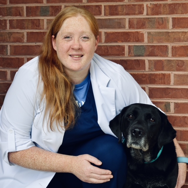 Our Veterinarians | Trickum Ridge Animal Hospital